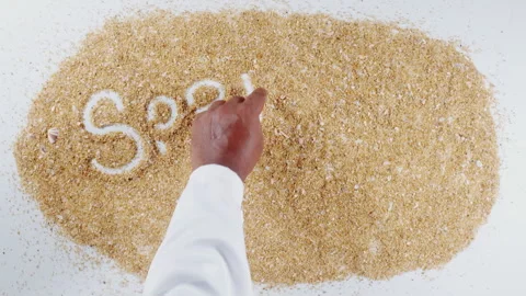 An Indian man's Hand Writes On Beach Sand words Spring break Stock Footage 248662521