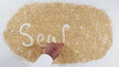 An Indian man's Hand Writes On Beach Sand words Sea food Stock Footage 248663174