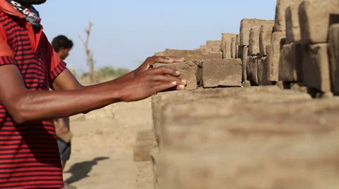 Indian men building a row of bricks at field in Jodhpur. Stock Footage 50231874