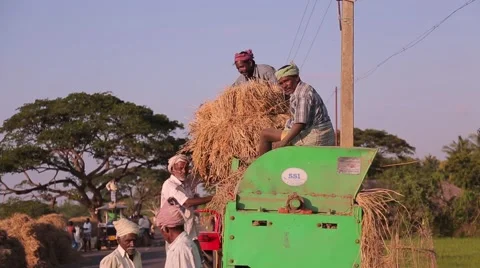 Indian men working with a bale of hay Stock Footage 49322003