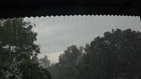 Indian  monsoon, rainfall in slow motion 動画素材 167755305