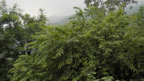 Indian Mountainous Roads Stock-Footage 143594269