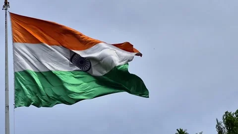 Indian National Flag 動画素材 314502046