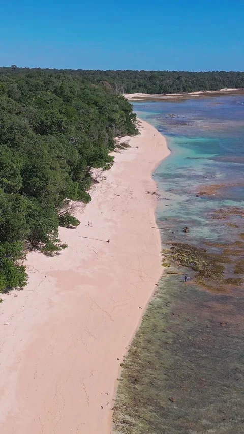 Indian Ocean coastline of Java island. Stock Footage 318182084