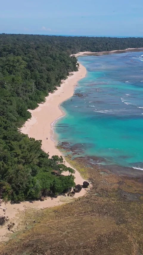 Indian Ocean coastline of Java island. Vídeo Stock 318182245