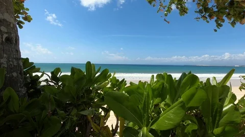 Indian Ocean. Stock Footage 102058452