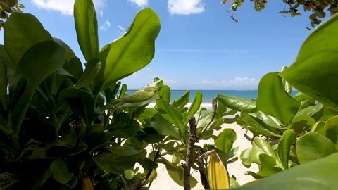 Indian Ocean. Stock Footage 102058477