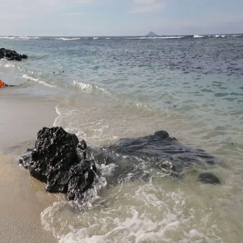 Indian ocean in Mauritius Video stock 69483032