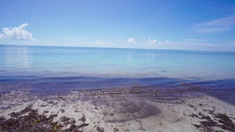 Indian Ocean Seascape Stock Footage 305124762