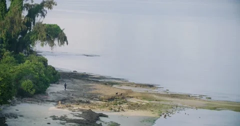 Indian Ocean Shore Stock Footage