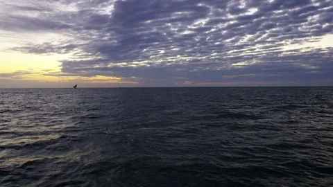 Indian Ocean Sunrise Stock Footage 317837740