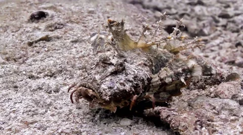 Indian ocean walkman Stock Footage 58306962