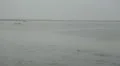 The Indian Ocean water in Sri Lanka HD Footage