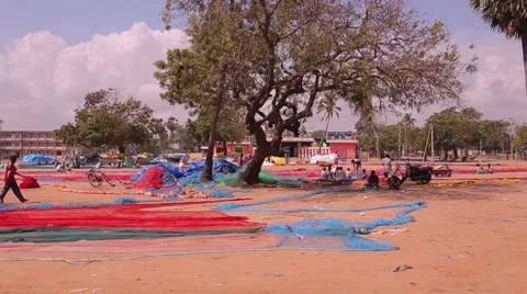 Indian people relaxing under the tree Stock Footage 49322428