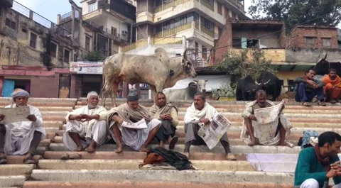 Indian people resting and reading at the Ghat near Ganges river in Varanasi Stock Footage 150552441