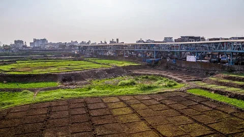 Indian people working on the fields along Bandra skywalk in Mumbai downtown, Ind Stock Footage 118857965