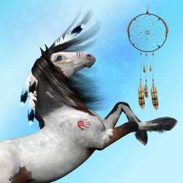 Indian Pony Stock Illustration