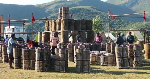 Indian Poor workers with Cans on Hill Stockbeeldmateriaal 326838007