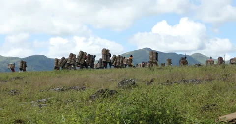 Indian Poor workers with Cans on Hill Vídeo Stock 326838170