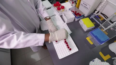 Indian Scientist Blood Testing Testubes Stock Footage 248590335