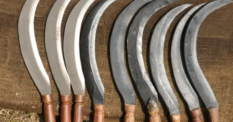 Indian Sickle closeup Stock Footage 293185070