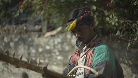 Indian sitar player Stock Footage 111810210