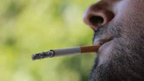 Indian Smoking Cigarette 2 Video stock 123085681