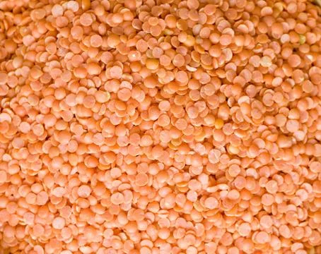 Indian spices, texture background, close up Stock Photos