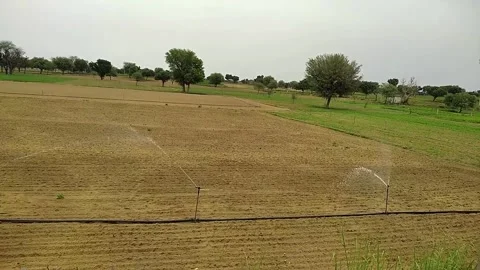 Indian sprinkler system in field Stock Footage 302856648