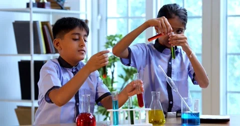 Indian Students in Conduct Chemistry Lab Experiments with Test Tubes Chemical Stock Footage 342849014