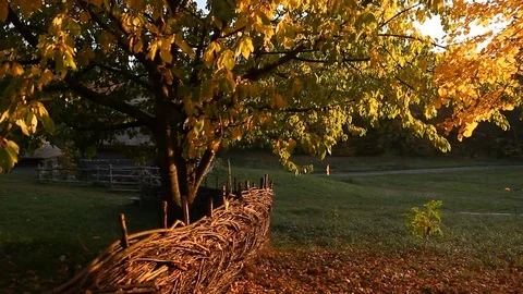 Indian summer in the countryside Stock Footage 81368113