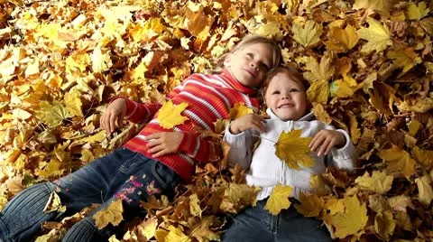 Indian summer Stock Footage 8906800