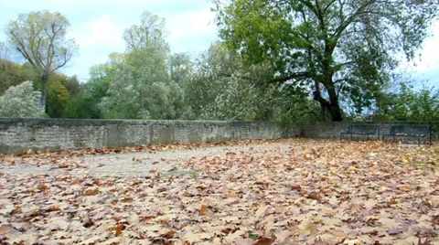 Indian summer Video stock 32231653