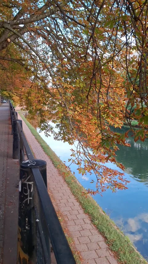 Indian summer with heavy clouds in Strasbourg. Series. Video stock 346045410