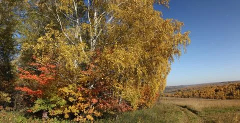 Indian summer Stock Photos