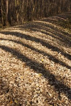 Indian Summer Stock Photos
