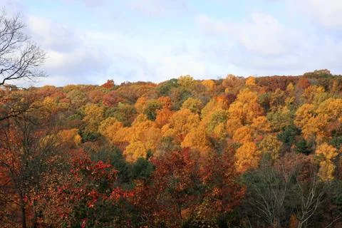 Indian Summer Stock Photos