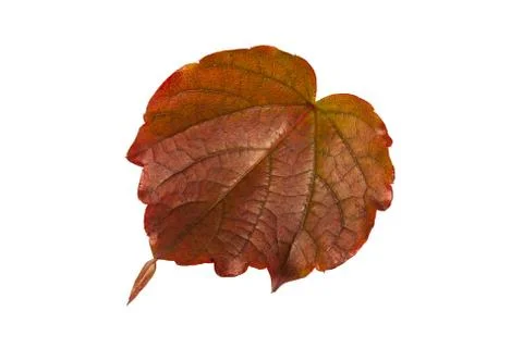 Indian Summer Foto stock