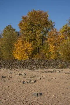 Indian Summer Stock Photos