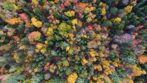 The indian summer in Quebec Canada Stock Photos