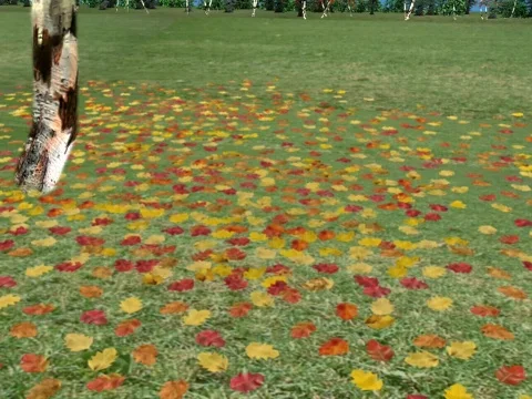 Indian Summer SV3 動画素材 840183
