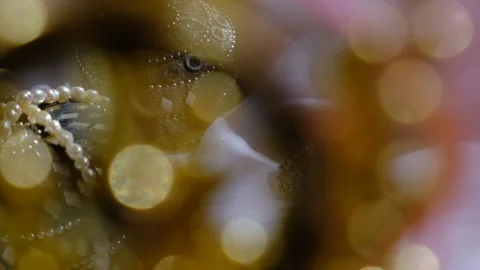 Indian traditional store close-up. Beautiful jewelry boxes, pearls, Stock Footage 294724014