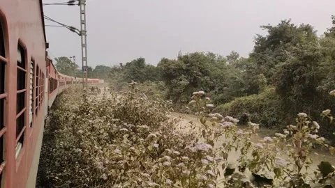Indian Train Passing Through Dense Jungle. Stock Footage 167811515