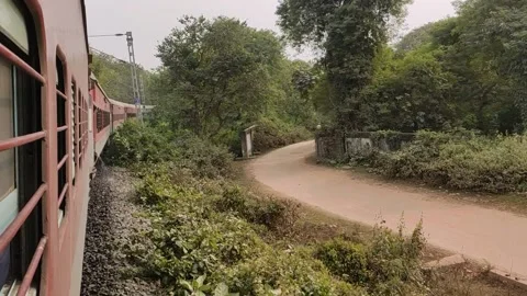Indian Train Passing Through Wildlife Santuary. Stock Footage 167811525