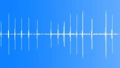 Indian Tree Pie Calls Sound Effect
