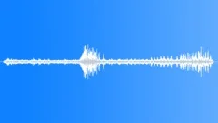Indian Tree Pie MD Sound Effect