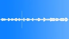 Indian Tree Pie MD Sound Effect