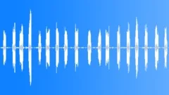 Indian Tree Pipit CU Sound Effect