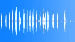 Indian Tree Pipit CUSound Effect