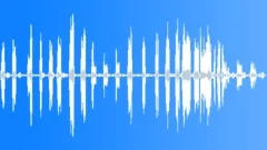 Indian Tree Pipit CU Sound Effect